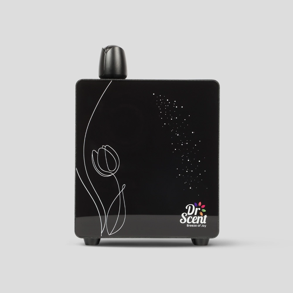 <br/>eco tulip web-11