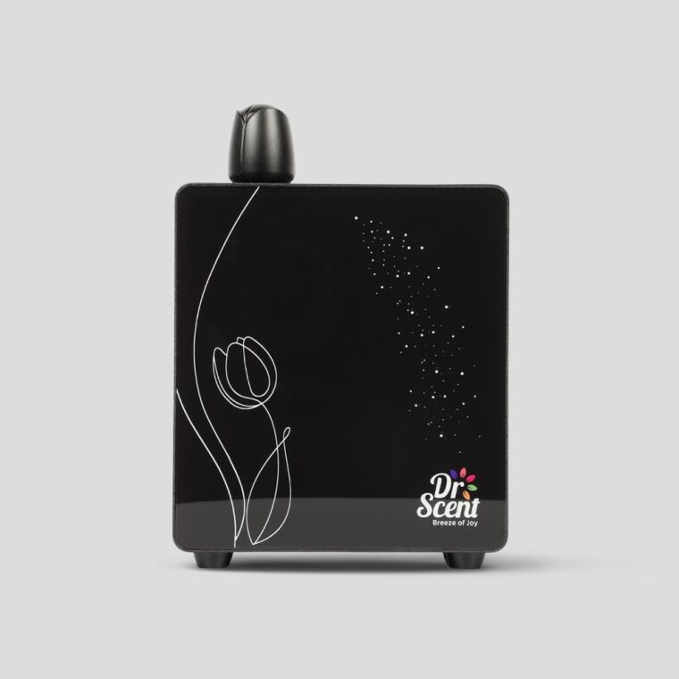 <br/>eco tulip web-11