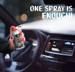 Car-Blast-Aerosol-100ml-2