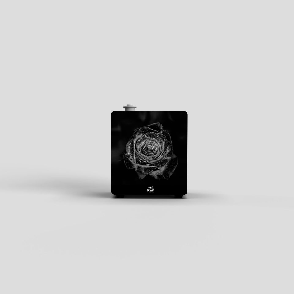 إيكو - جهاز تعطير